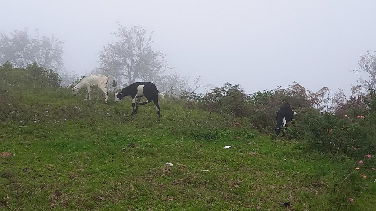 Salora Kodai Kodaikanal Kültér fotó