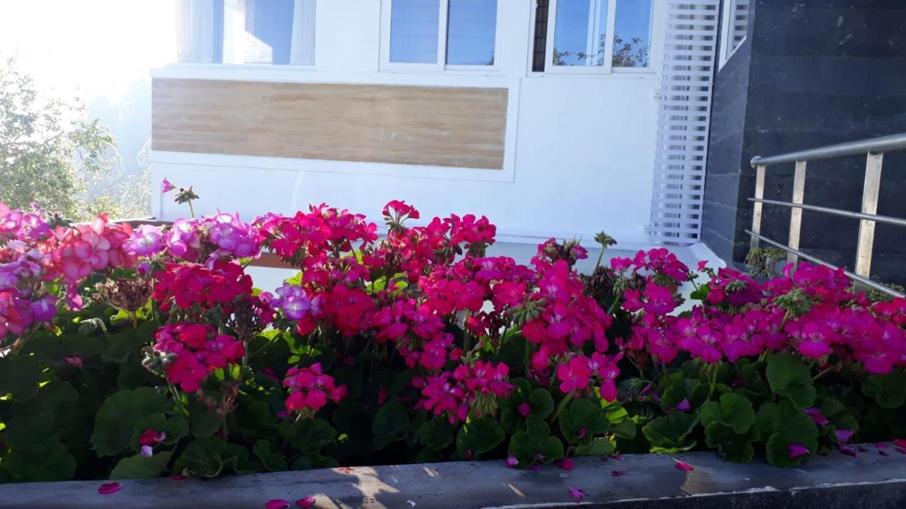 Salora Kodai Kodaikanal Kültér fotó