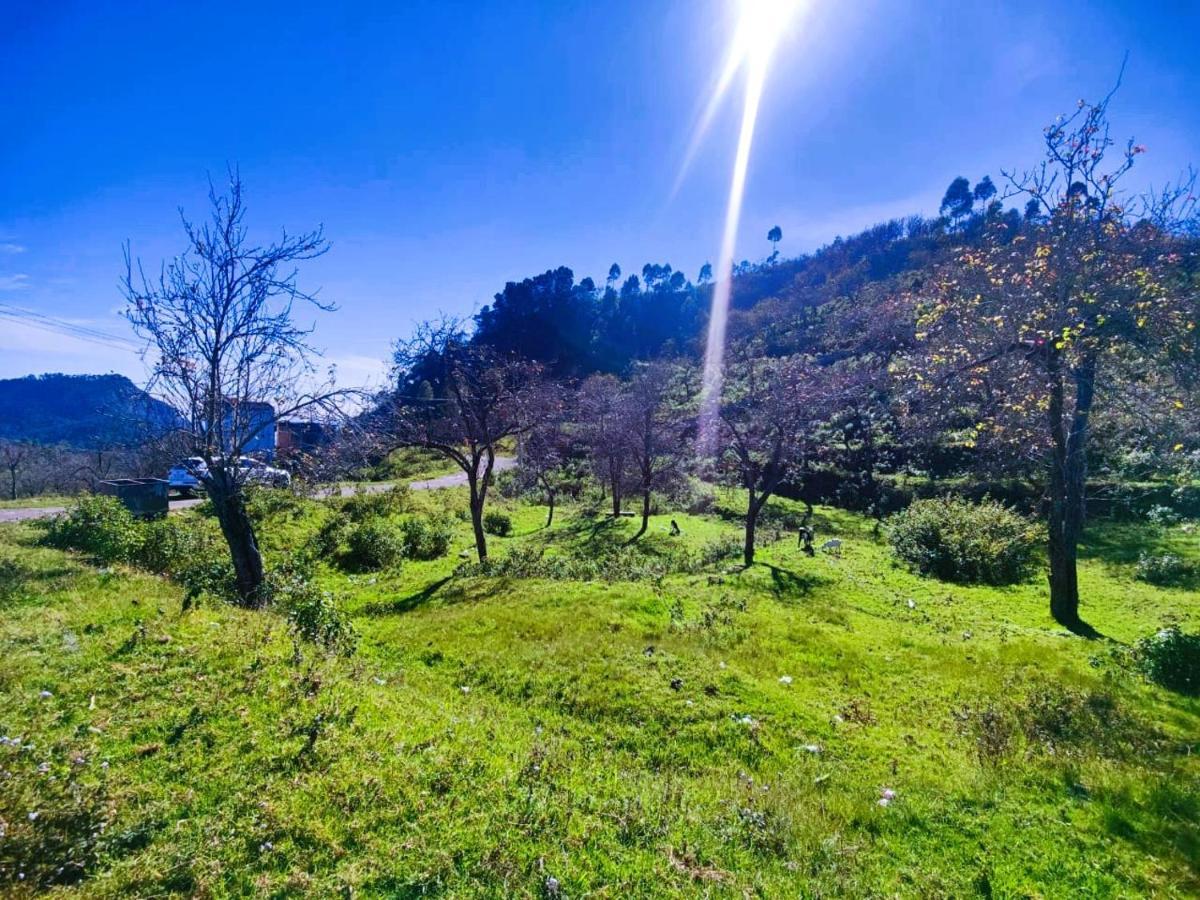 Salora Kodai Kodaikanal Kültér fotó