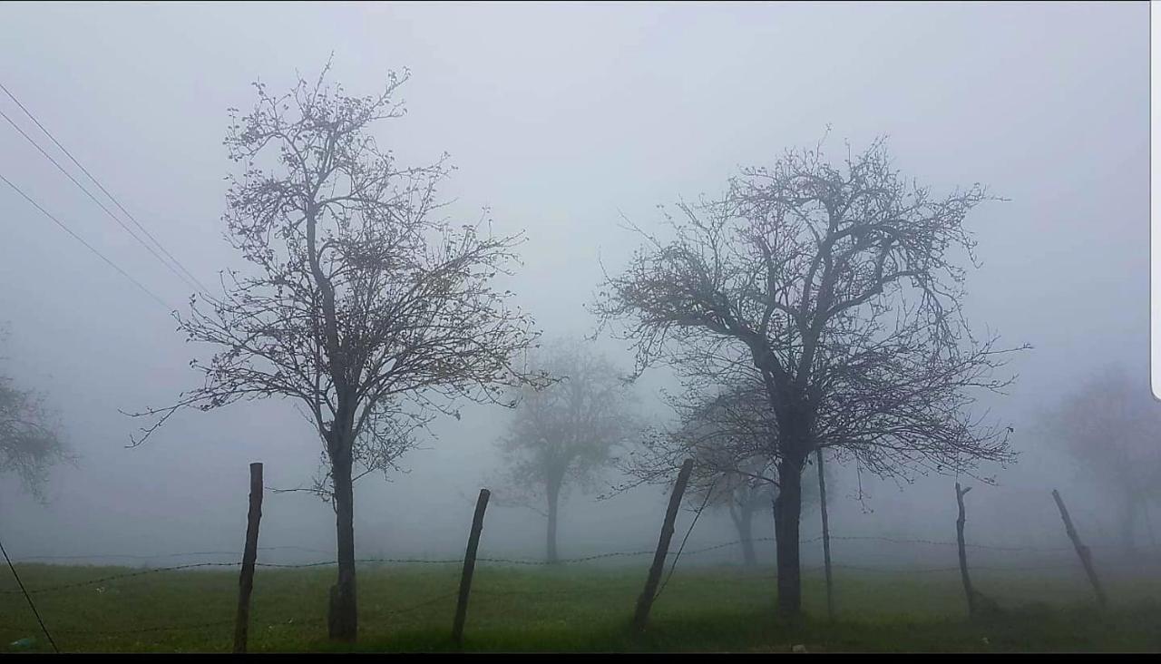 Salora Kodai Kodaikanal Kültér fotó