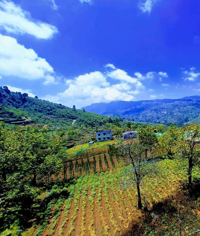 Salora Kodai Kodaikanal Kültér fotó